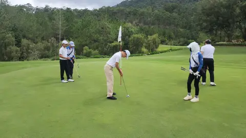 Đánh putt trên sân golf cạnh rừng thông